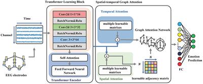 STGATE: Spatial-temporal graph attention network with a transformer encoder for EEG-based emotion recognition